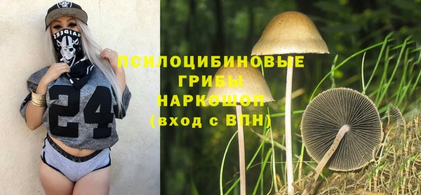 MDMA Premium VHQ Михайловка