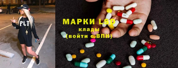 ГАЛЛЮЦИНОГЕННЫЕ ГРИБЫ Медвежьегорск