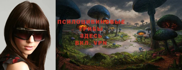 ГАЛЛЮЦИНОГЕННЫЕ ГРИБЫ Медвежьегорск
